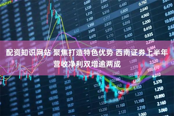 配资知识网站 聚焦打造特色优势 西南证券上半年营收净利双增逾两成